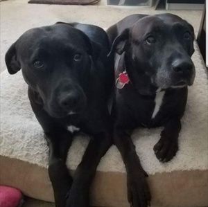 Meet your Posher, Caroline